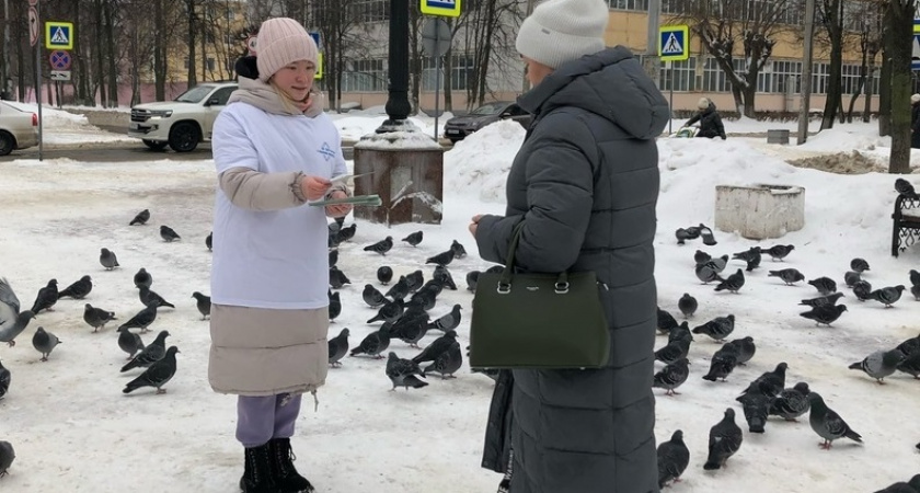 Йошкаролинцев пытаются отвадить кормить голубей 