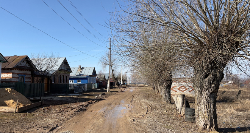 Среда в Марий Эл обещает быть теплой