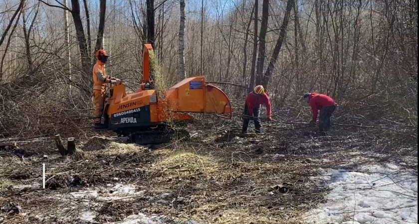 Территорию под "Марий парк" очищают от ненужных деревьев и растений