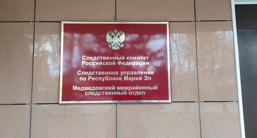 Жительница Марий Эл впустила переночевать гостя и напала на него