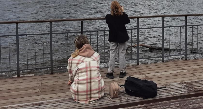 Взлеты и падения: неделя для всех знаков зодиака будет непредсказуемой