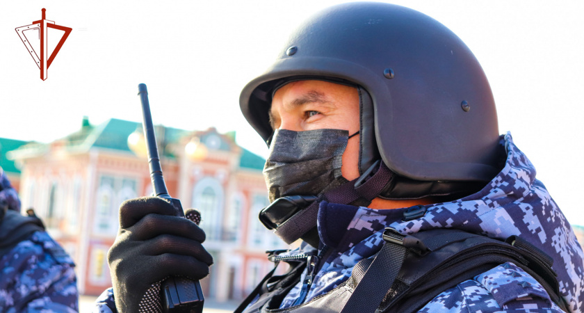 Шумного йошкаролинца поймали на месте преступления