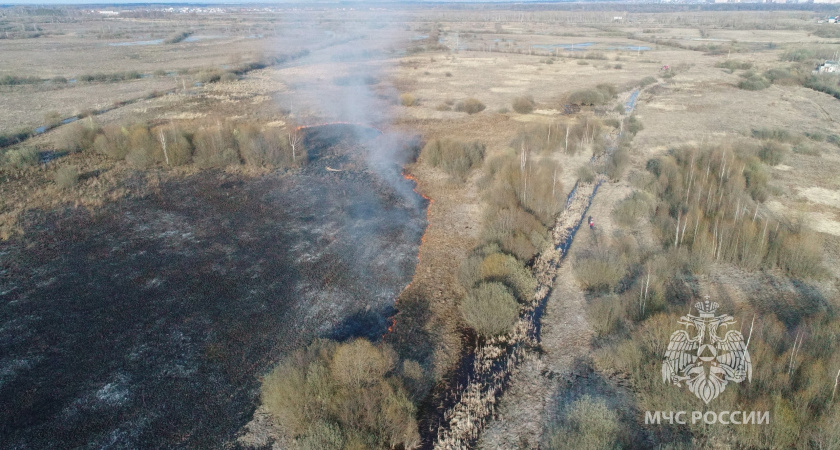 В Марий Эл неизвестный поджег траву у садовых домов
