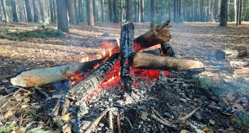 Леса в Марий Эл могут вспыхнуть