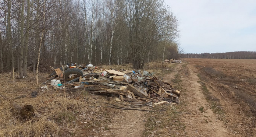 Со свалкой в селе Марий Эл разбиралась прокуратура