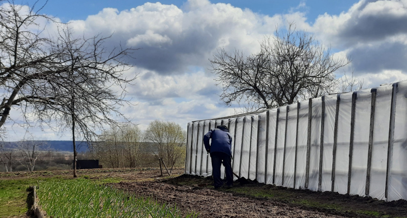 10 видов токсичных растений на вашей даче, за которые вас оштрафуют