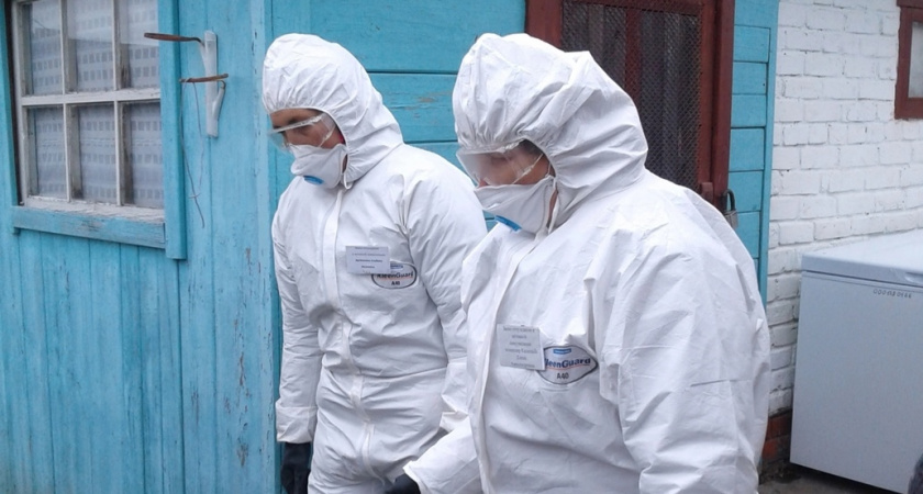 В шести населенных пунктах Марий Эл ввели карантин из-за птичьего гриппа