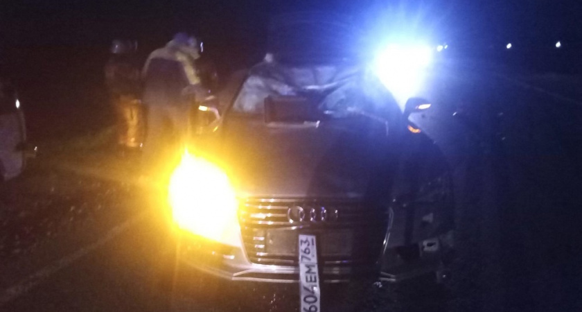В Марий Эл водитель Audi попал в аварию, когда на дорогу выскочил лось
