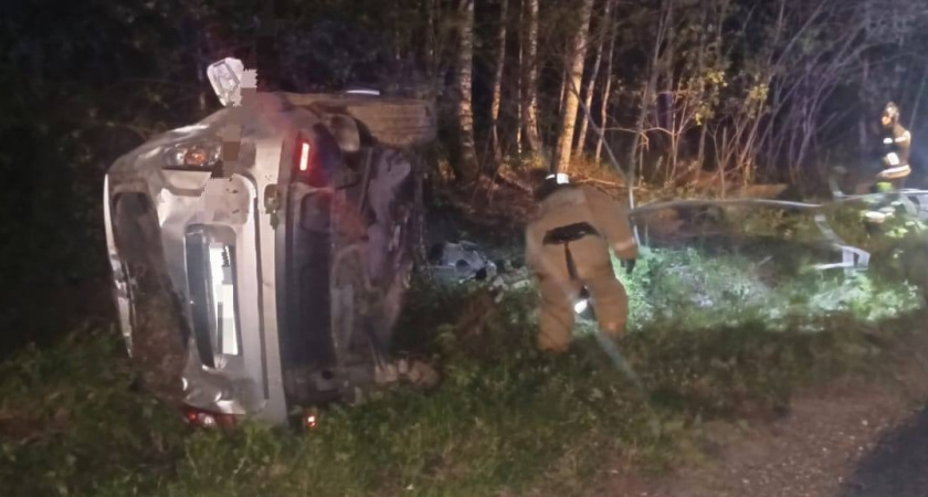 "Рено" врезался в медведя на трассе в Моркинском районе