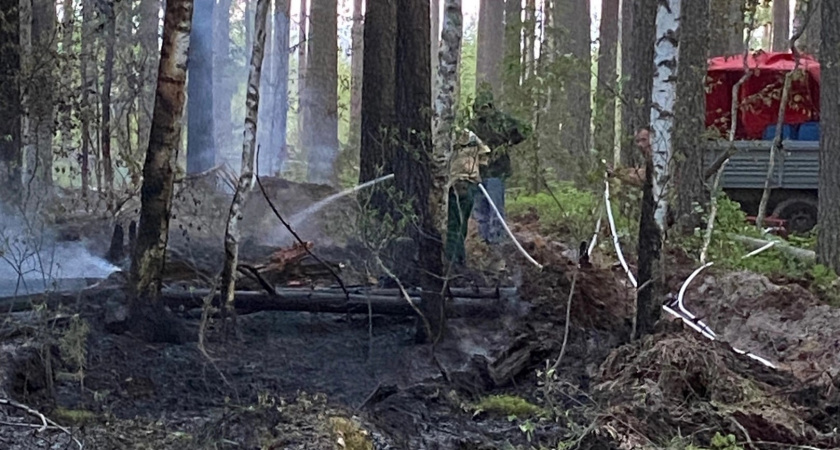 В Марий Эл начинают загораться леса из раза в раз 