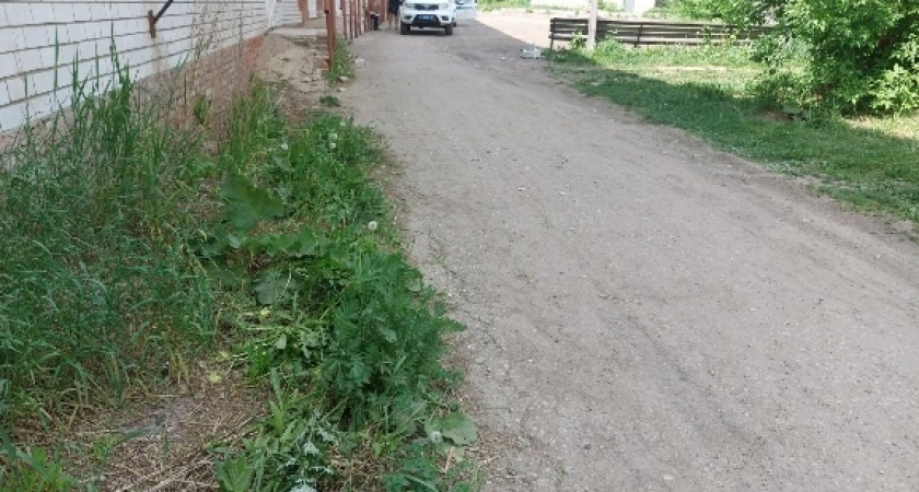 Водитель Audi из Оршанки наехал на пешехода и скрылся с места ДТП