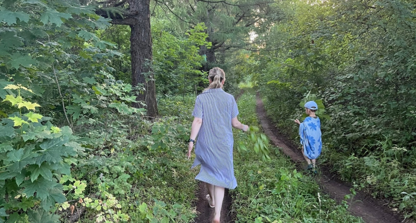 Забудьте о спреях: эти пять народных средств клещи боятся как огня