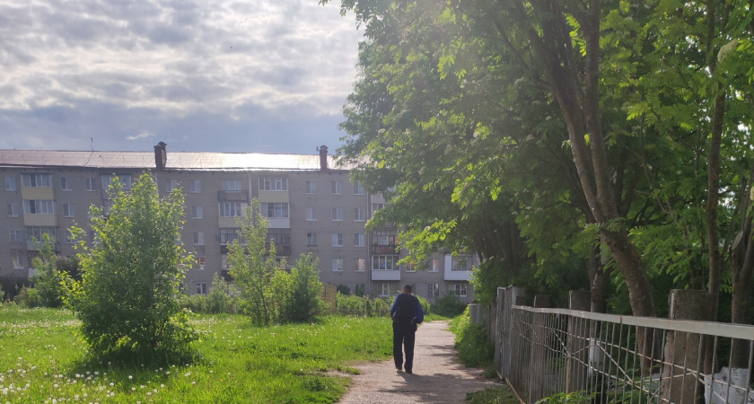 В воскресенье в Марий Эл ожидается до +20  