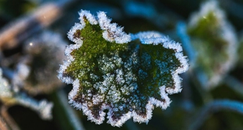 В Марий Эл подморозит
