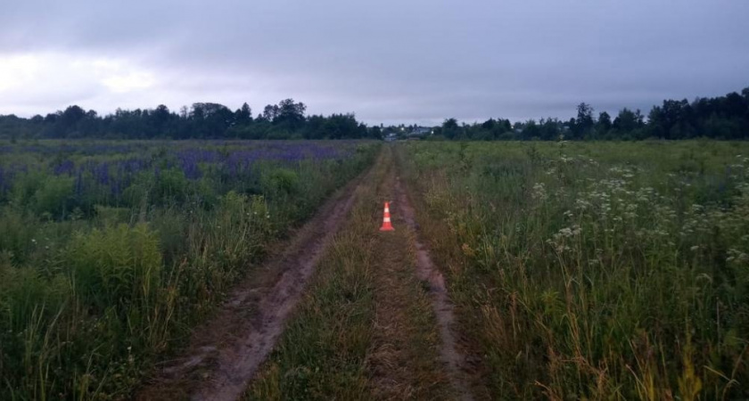 В Медведевском районе пострадала девочка, катаясь на квадроцикле