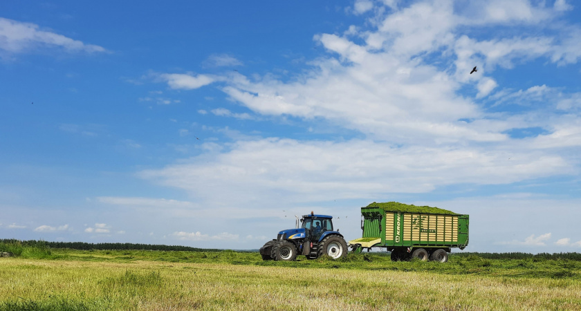 На ипподроме Марий Эл отметят День поля