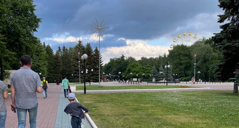 Йошкар-Олу назвали городом, где беда с экологией, медобслуживанием, и пора исправлять это