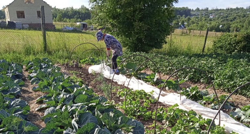 Умрете, если не перестанете так делать: дачников предупредили об опасности