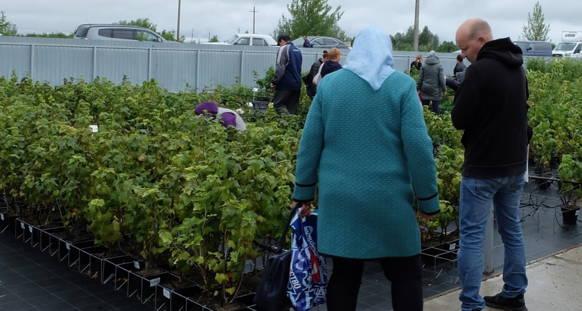 Для многих пенсионеров будет сюрпризом: индексацию прекратят, а пенсии пересчитают