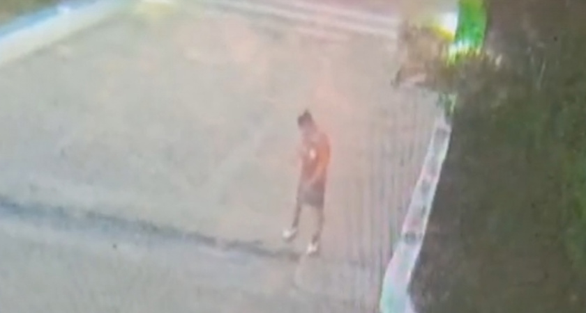 В Марий Эл задержали приезжего парня за то, что он устроился на "нехорошую" работу