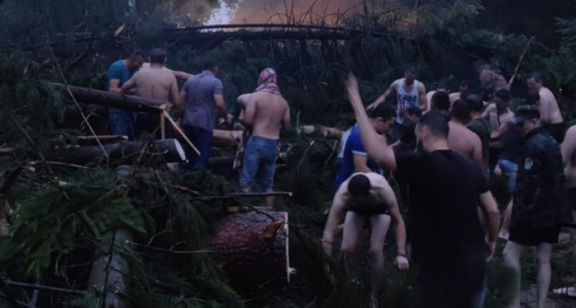 В Марий Эл прошел ураган: “Лежат поломанные деревья, люди в панике”