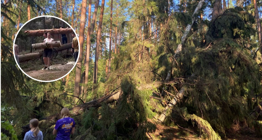 Заваленный деревьями лагерь на озере Яльчик очищают студенты: "Работы на неделю"