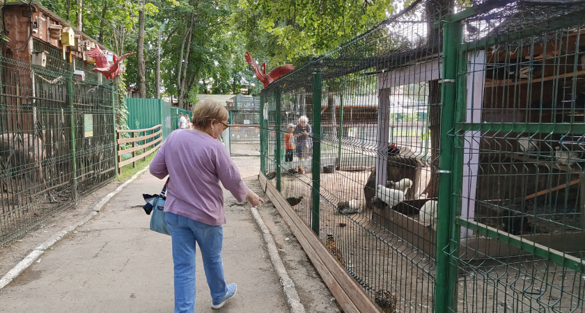 Готовьте кошельки уже в августе: пенсии некоторых россиян пересчитают, грядет увеличение