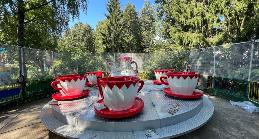 В йошкар-олинском парке установят аттракцион, достойный Алисы из Страны чудес 