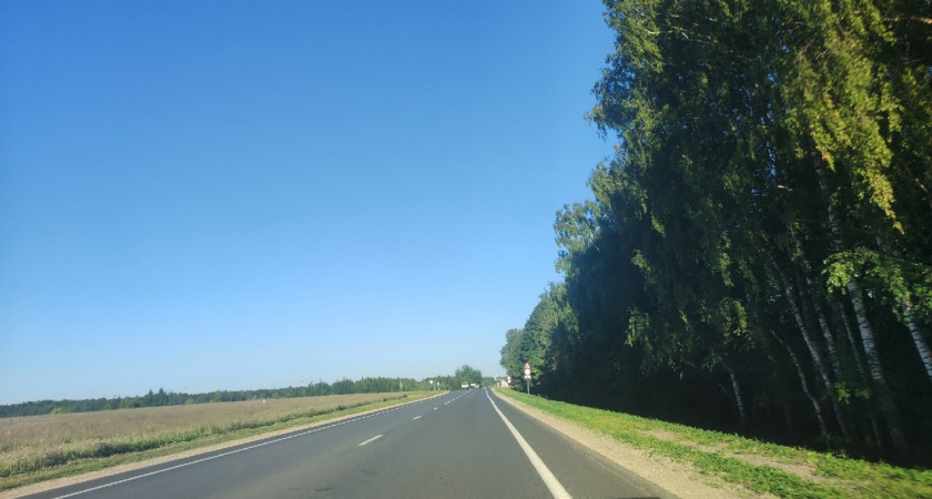 В Марий Эл разыскивают водителя, сбившего женщину