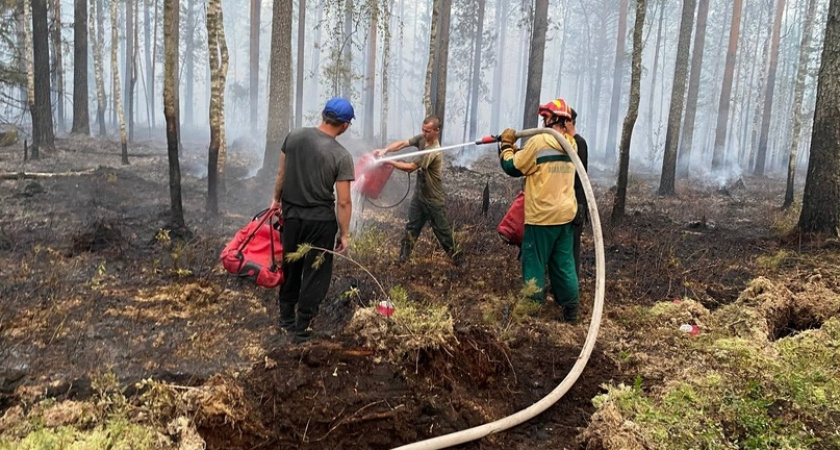 Шашлычники и отдыхающие дважды подожгли марийские леса