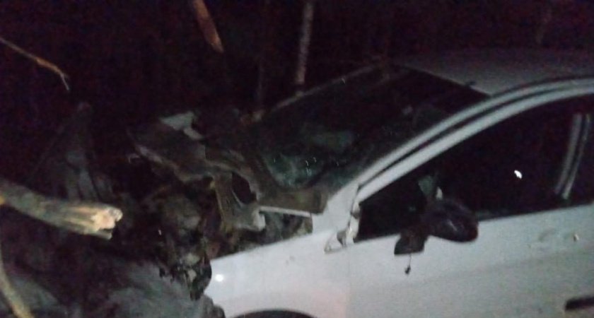 Водитель пострадал в ночном ДТП в Марий Эл