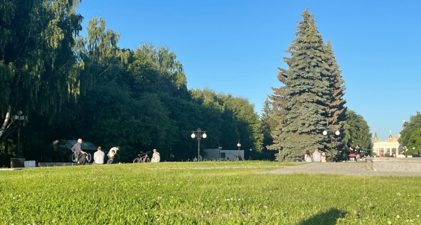 Лето в Марий Эл продолжается: в республике снова будет +25