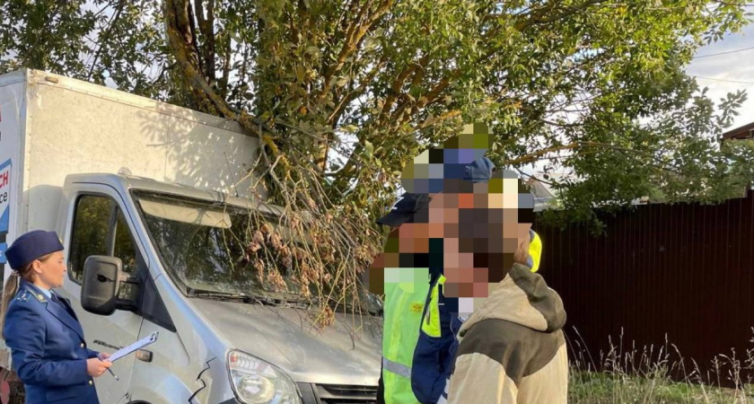 В Медведевском районе под колеса ГАЗели попал 11-летний мальчик