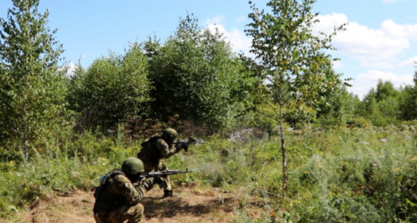 СМИ: поступило заявление о готовности Зеленского объявить войну России