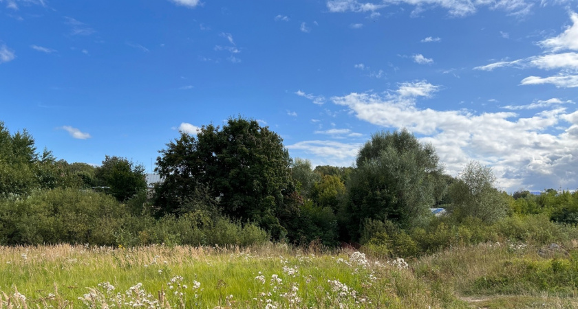 Заморозки и жара: погода в Марий Эл удивляет жителей