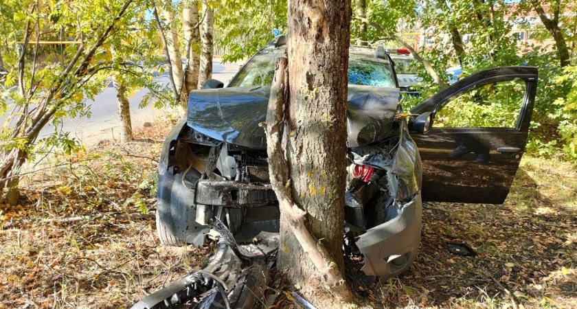 Renault Duster улетел в кювет и врезался в дерево в Йошкар-Оле