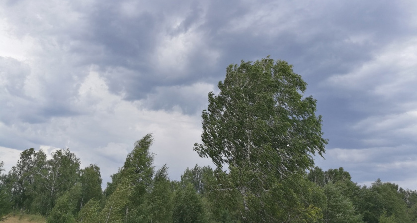 Среда в Марий Эл будет дождливой и ветреной 