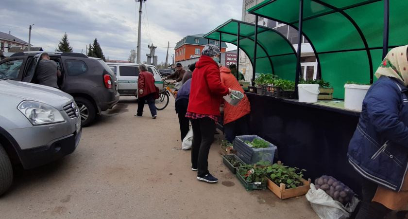 Каждому пенсионеру по 15 тысяч рублей на руки: оформить выплату можно хоть сегодня