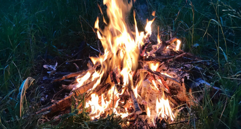 В марийских лесах завершился опасный сезон