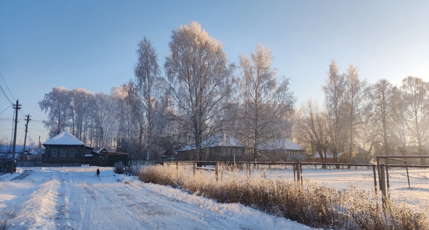 Синоптики предрекли теплую зиму всей планете из-за повышения температуры воды в Тихом океане