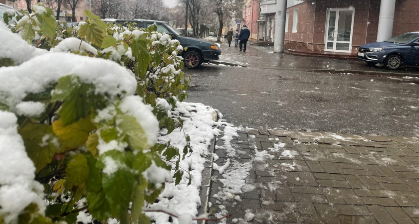 Синоптики предупреждают жителей Марий Эл о предстоящей непогоде 