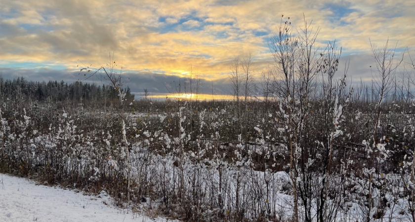 В Марий Эл готовы бороться с последствиями непогоды