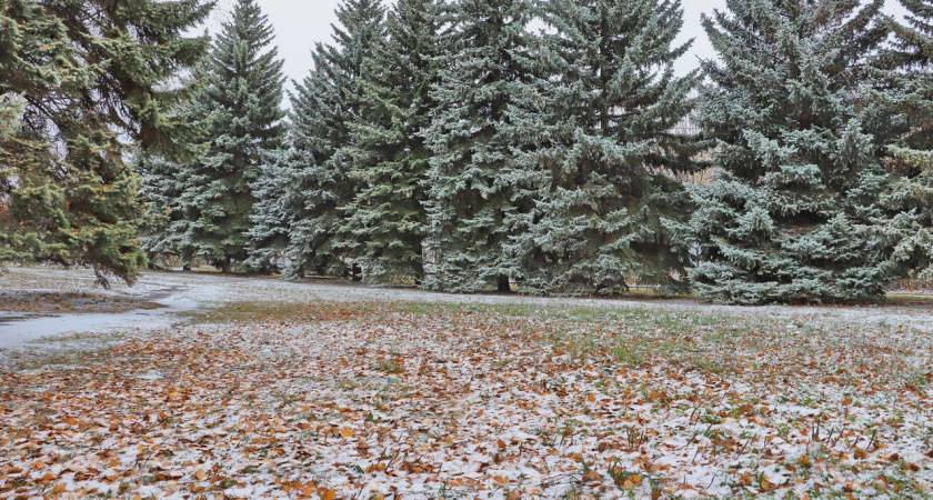 Во вторник погода продолжит "баловать" жителей Марий Эл своими неприятными сюрпризами