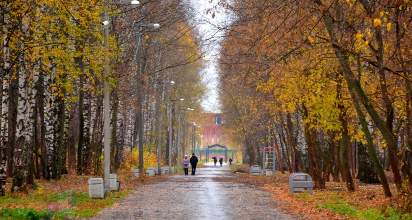 Все чаще жители Марий Эл предпочитают эту соцподдержку, которая улучшает их доход