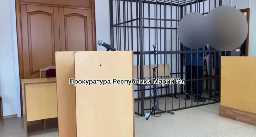 Житель Параньгинского района во время ссоры убил свою мать