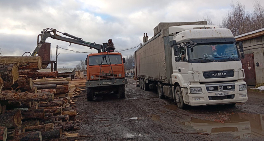 В зону СВО отправили пиломатериалы из Марий Эл