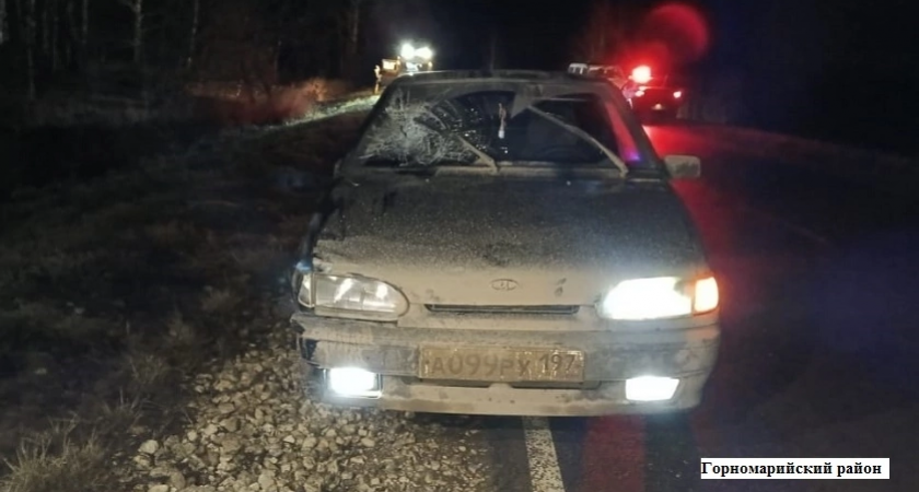 Машина сбила жителя Марий Эл, который гулял по середине дороги