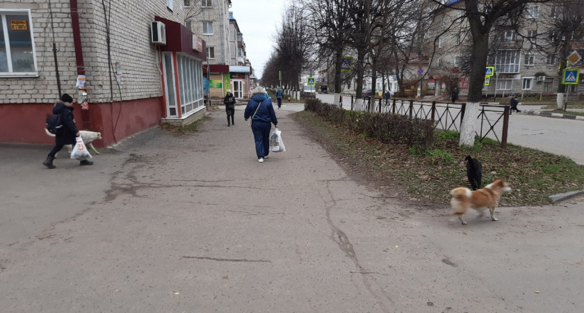 Продлевая абонентский договор и слушая "кого-то из Госуслуг", йошкаролинка лишилась своих сбережений