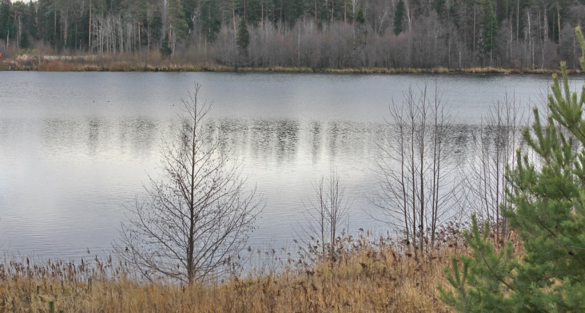 В Марий Эл сохранится теплая погода, но прольются дожди