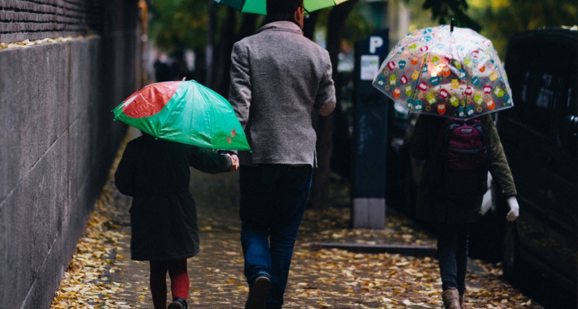 Вторник в Марий Эл выдастся дождливым